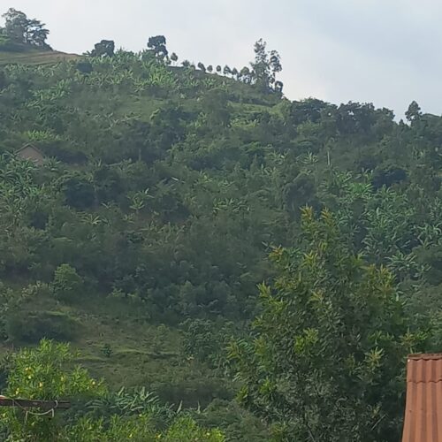 Athletics Kasese Uganda