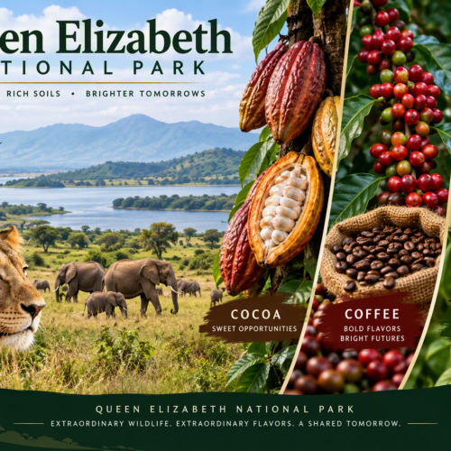 Queen Elizabeth National Park cocoa coffee and vanilla
